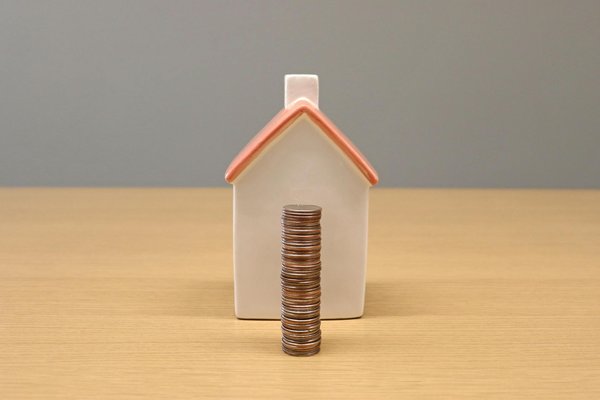 Creating a Calming Haven: Expert Advice for Easing Hyperesthesia in Cats