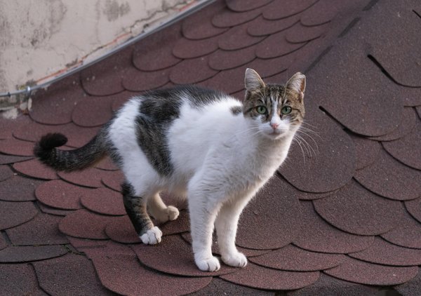 Revolutionary Mental Health Tactics Transforming the Industry's Future